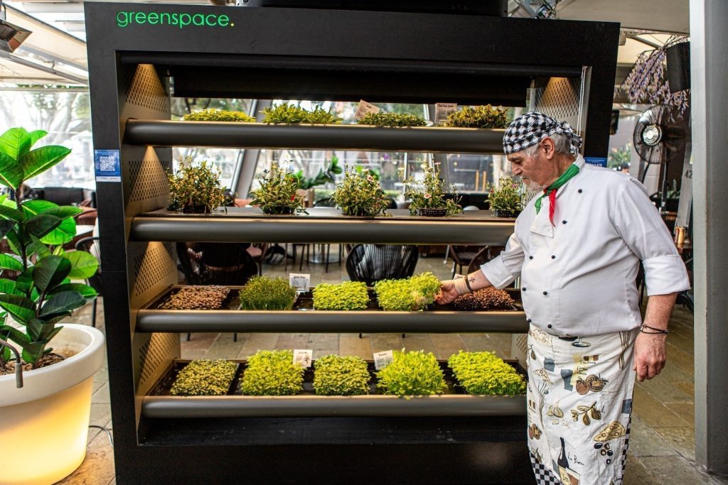Sustainable Dining